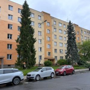 3  ben ve střední velikosti