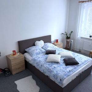 7  ben ve střední velikosti