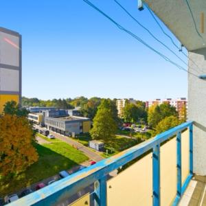 7  bru ve střední velikosti