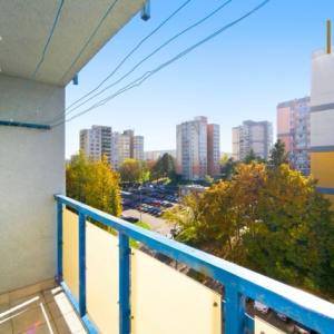9  bru ve střední velikosti