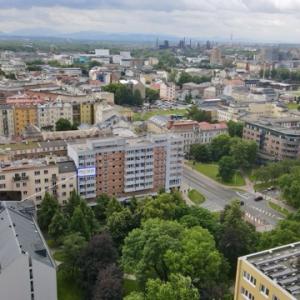 B ve střední velikosti