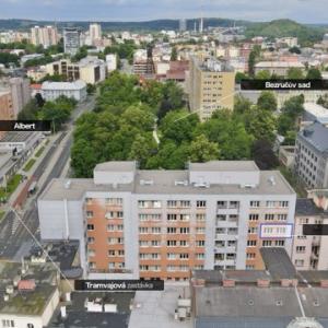 C ve střední velikosti